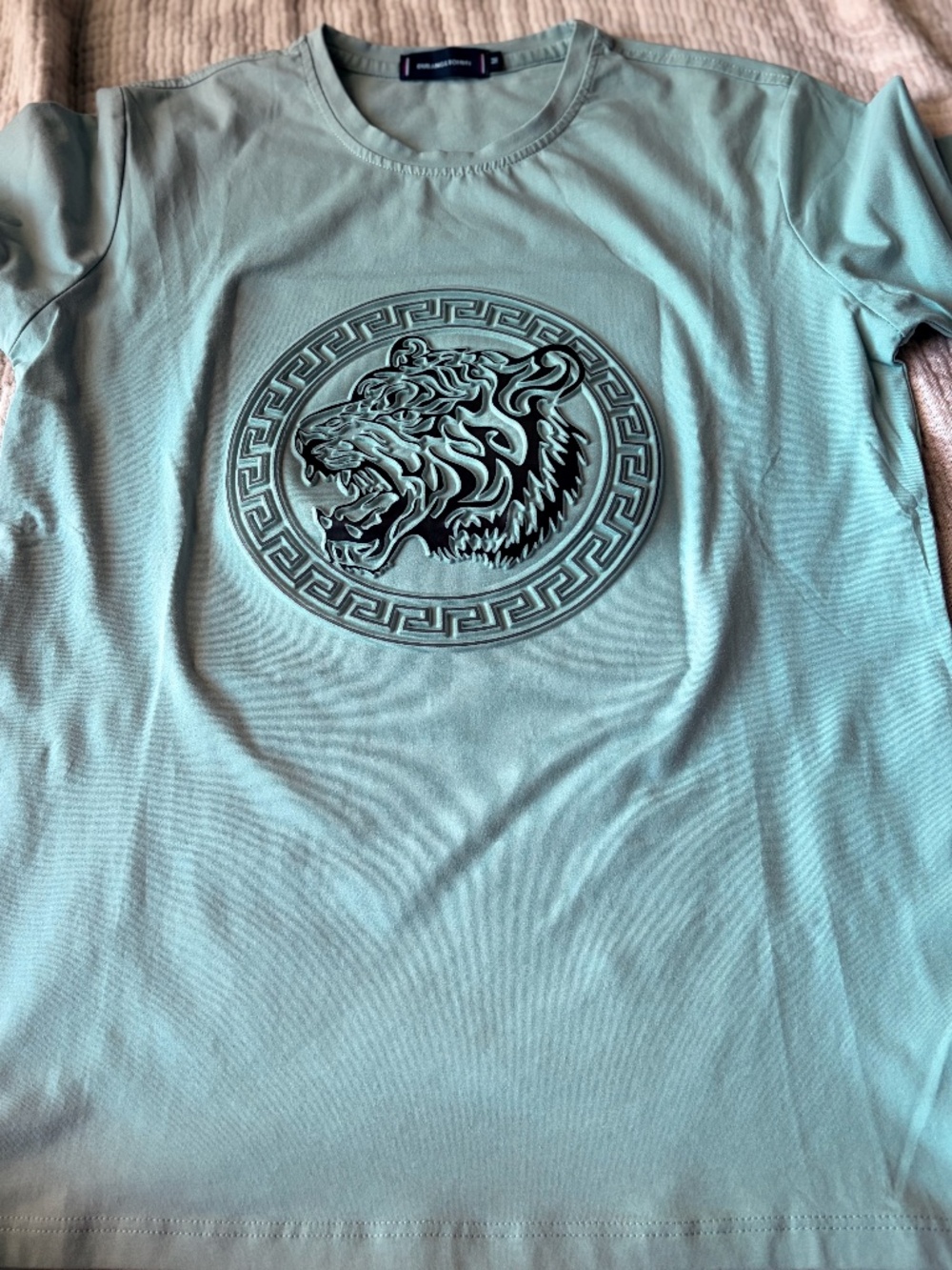 Light Green T-Shirt, M
